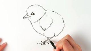 Chick drawing step by step easy