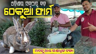 ଓଡ଼ିଶାର ସବୁଠାରୁ ବଡ଼ ଠେକୁଆ ଫାର୍ମ  Largest Rabbit Farm in Odisha  Biggest Rabbit Farm Odisha.
