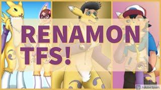 🟡【𝐑𝐄𝐐𝐔𝐄𝐒𝐓𝐄𝐃 𝟑】   ᐠ ´꓃   ᐟ\  Renamon TFs   Digimon TF TGs    𝐩𝐚𝐫𝐭 𝟏 🟣