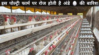 50 लाख का Egg Poultry Farm Business Plan  Layer Poultry Farming
