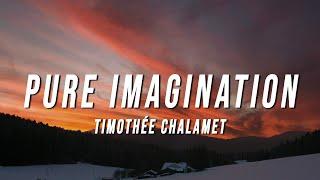 Timothée Chalamet - Pure Imagination Lyrics from Wonka