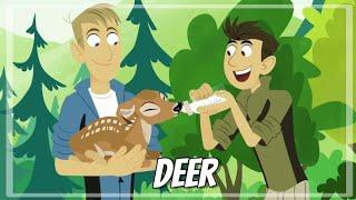 Wild kratts - Deer buckaroo - Full episode - HD - KRATTS SÉRIES