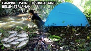 Solo Camping Harvest Fish Eating Grilled Fish Catch