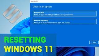  How to Recover Data After Resetting Windows 11