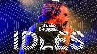 IDLES LIVE AT STUDIO BRUSSEL  Studio Brussel LIVE LIVE