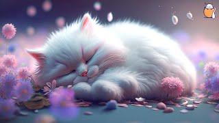 EXTRA LONG Cat Relaxation Music  Anti-Anxiety Music for Cats  Anxiety Relief in Cats  Sleepy Cat