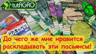 СЕЕМ ПРЯМО В ГРУНТ В МАРТЕ Холодостойкие растения которые дадут первый урожай. Правильные сроки.