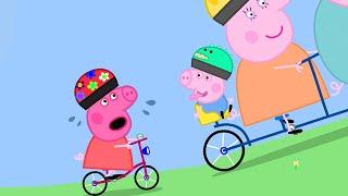 Stay Fit and Go Cycling with Peppa Pig  Peppa Pig Official Family Kids Cartoon