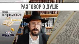 5. Перевоплощение души. Реинкарнация и некоторые её правила. Виды паразитирования чужих душ