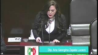 Dip. Ana Zapata PRI - Iniciativa