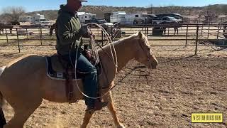 How Andy Holcomb Holds His Reins