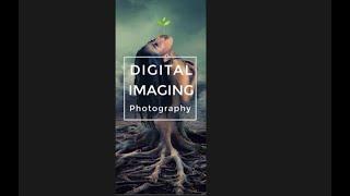 DIGITAL IMAGING By Redbarcetta #shorts