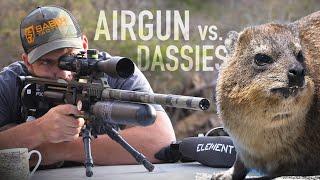 INSANE 200+yd Scopecam clips Dassie Hunting with Gerhard Slabbert