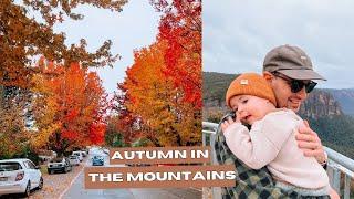 Blue Mountains Autumn Adventure Free Camping Weekend Exploration