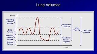 Pulmonary Function Tests PFT Lesson 1 - An Introduction
