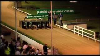 College Causeway - Route to  Irish Greyhound Derby victory