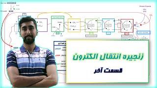 زنجیره انتقال الکترون در بیوشیمی  تولید انرژی  قسمت آخر