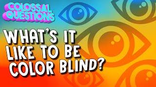 What is it Like to Be Colorblind?  COLOSSAL QUESTIONS