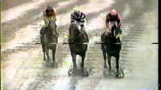 Slew o Gold - 1984 Woodward Stakes CBS