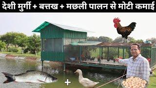 ऐसा अनोखा फॉर्म आपने देखा नहीं होगा  Desi Poultry Farming + Fish Farming + Duck Farming