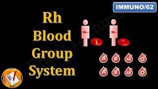 Rh Blood Group System FL-Immuno62