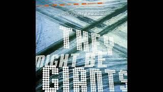 They Might Be Giants - Particle 1 hour