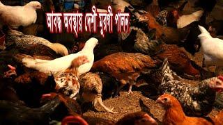 আবদ্ধ অবস্থায় দেশী মুরগী পালন l Roza Agro l Deshi Murgi Palon