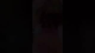 AUTO SALAH POKUS PAMELA SAFITRI #tiktok #viral #shorts