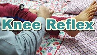 How to Do Knee  Patellar Reflex  Knee Jerk  Deep Tendon Reflexes  L2 L3 L4 Spinal Segments