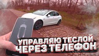 УПРАВЛЯЮ ТЕСЛОЙ Через ТЕЛЕФОН  Tesla model 3