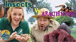 Insects And Arachnids for Kids  Educational Videos for Kids