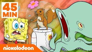 SpongeBob  Hewan-Hewan Terkeren di Bikini Bottom selama 45 menit  Nickelodeon Bahasa