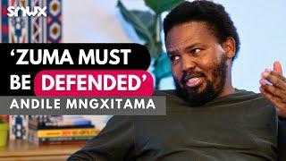 Andile Mngxitama on MK Party Julius Malema Thabo Mbeki Markus Jooste Jacob Zuma 2024 election