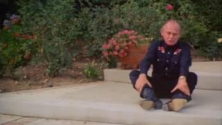 Sweet Justice 1992 Frank Gorshin