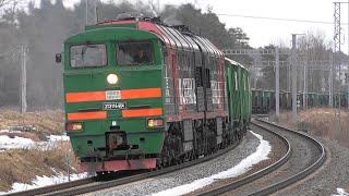 Магистральный тепловоз 2ТЭ116-964  Diesel locomotive 2TE116-964