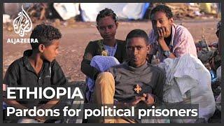 Ethiopia announces pardons for high-profile political prisoners