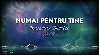 Veaceslav Busuioc - Numai pentru tine  . Lyric video 