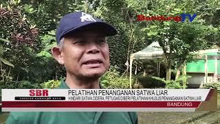 HINDARI SATWA CIDERAPETUGAS DIBERI PELATIHAN KHUSUS PENANGANAN SATWA LIAR