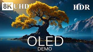 OLED DEMO 8K HDR Screen & Internet Speed Test