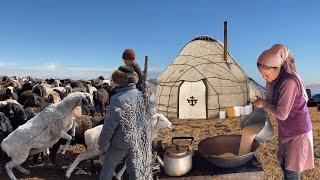 Beautiful Primitive life in the mountains  Cow milking and making homemade butter