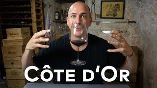 BURGUNDYS COTE DOR - WINE IN 10