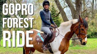 FOREST RIDE WITH THE NEW HORSE  GoPro Cantering  Footluce Eventing