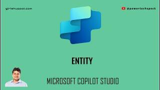 What is Entity in Microsoft Copilot Studio?