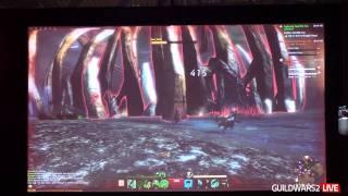 Guild Wars 2 GC11 - Onstage Presenation with Colin Johanson