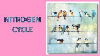 NITROGEN CYCLE - UPSC ENVIRONMENT AND ECOLOGY