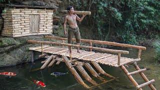 Primitive Technology 1 Years Survival And Build In The Wild