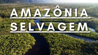 Amazônia Selvagem - Berço da vida  Documentário dublado HD