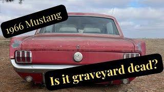 1966 MUSTANG IS IT GRAVEYARD DEAD?