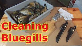 How To Clean A Bluegill Boneless