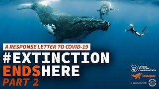 #ExtinctionEndsHere A Response Letter to COVID-19